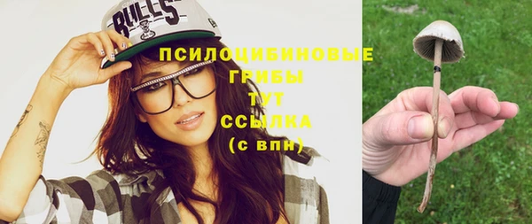 ГАЛЛЮЦИНОГЕННЫЕ ГРИБЫ Абдулино