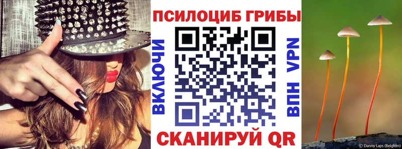Галлюциногенные грибы мицелий  Россошь 